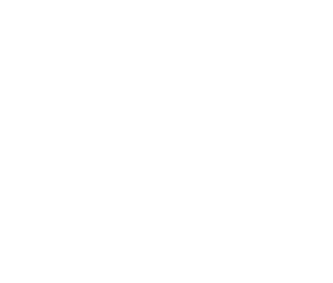 natural spa logo